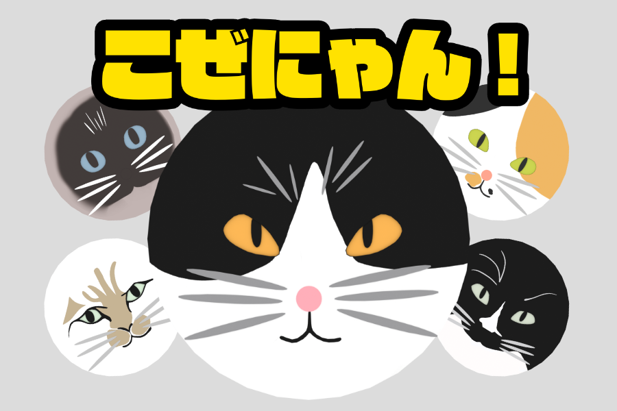 こぜにゃん！ の紹介画像